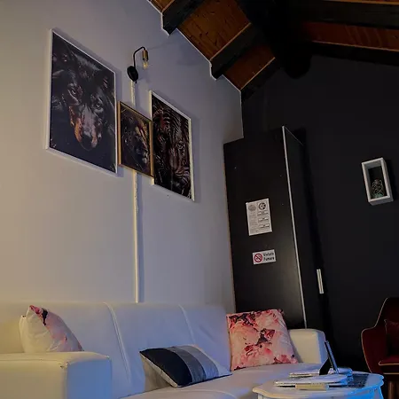 Hosting Dreams Attics - Duomo מילאנו