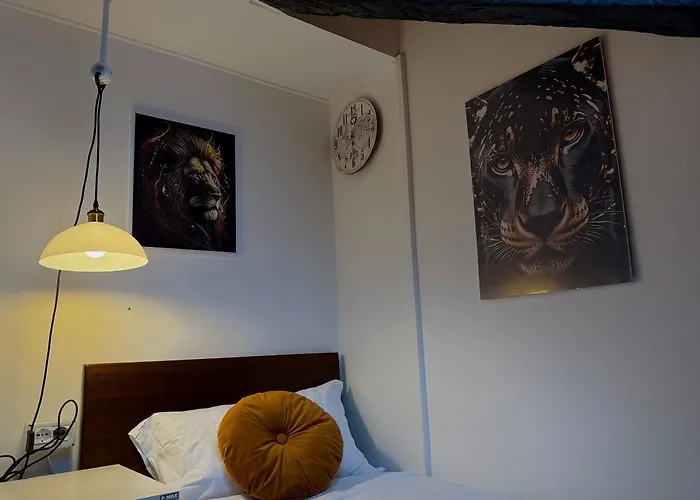 Apartment Hosting Dreams Attics - Duomo *